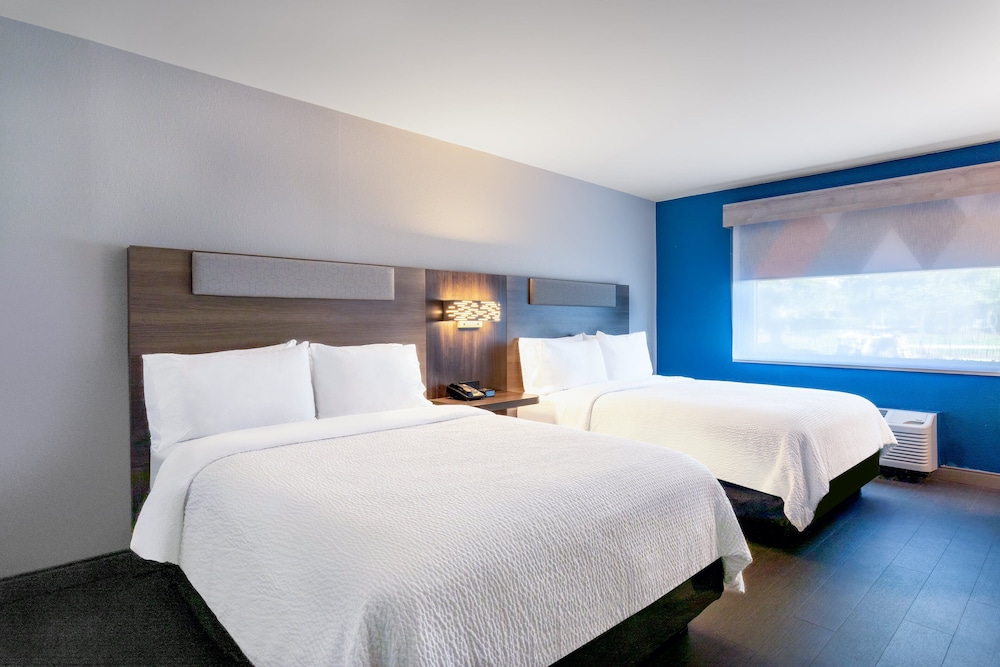 Holiday Inn Express Clearwater East Icot Center by IHG - photo 19
