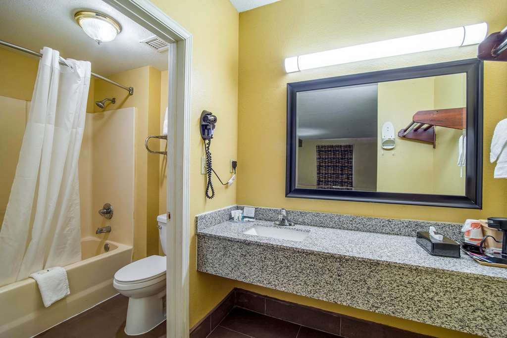 Quality Inn West Columbia Cayce - photo 26