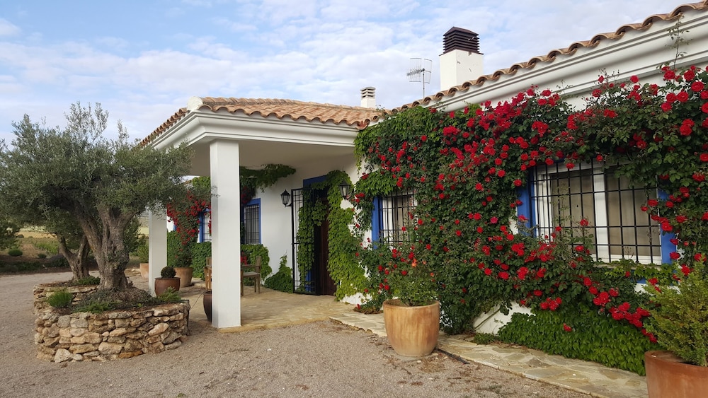 Finca El Romeral - last minute hotel in Alpera