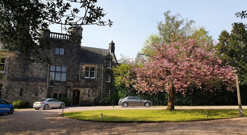 Acer View — Paisley — photo 4