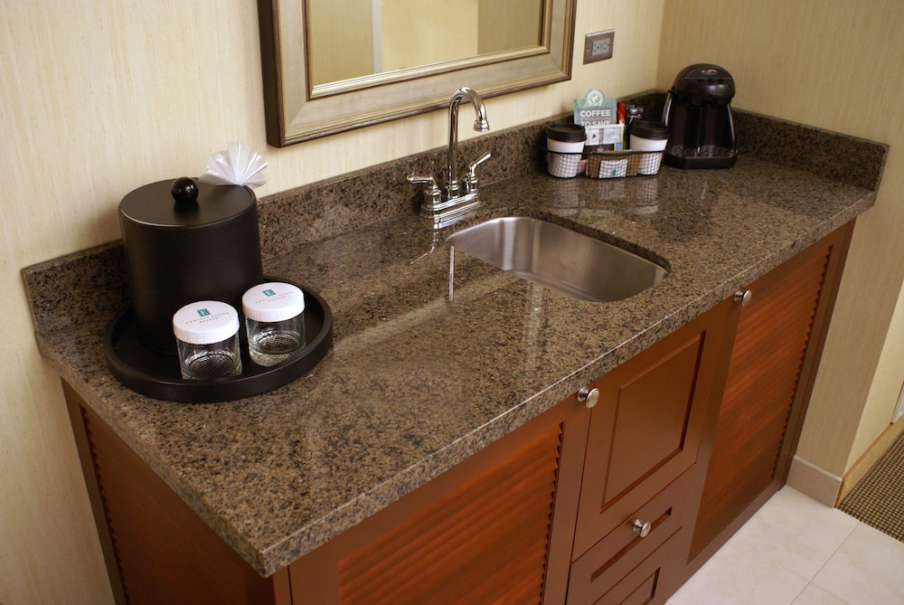 Embassy Suites Hotel Denver Tech Center - photo 11