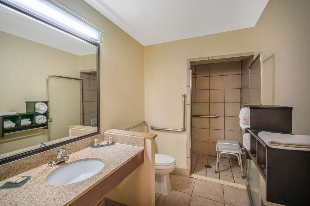 La Quinta Inn & Suites by Wyndham Memphis Airport Graceland - photo 22
