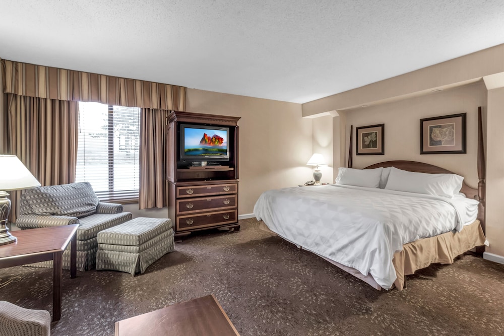 Buffalo Airport Hotel - photo 7