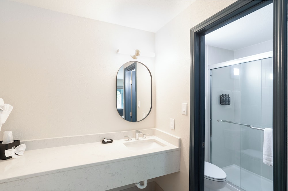 Hotel Sylva - photo 20