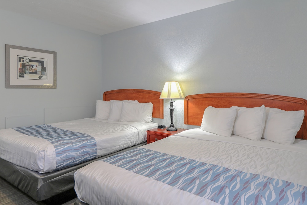Belle Aire Motel - photo 10