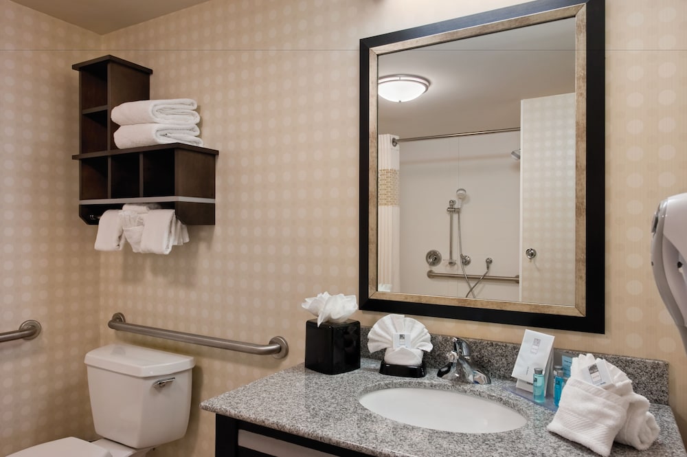 Hampton Inn & Suites Detroit Airport Romulus - photo 16