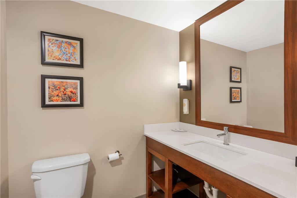 Comfort Inn & Suites Gap Amish Country - photo 23