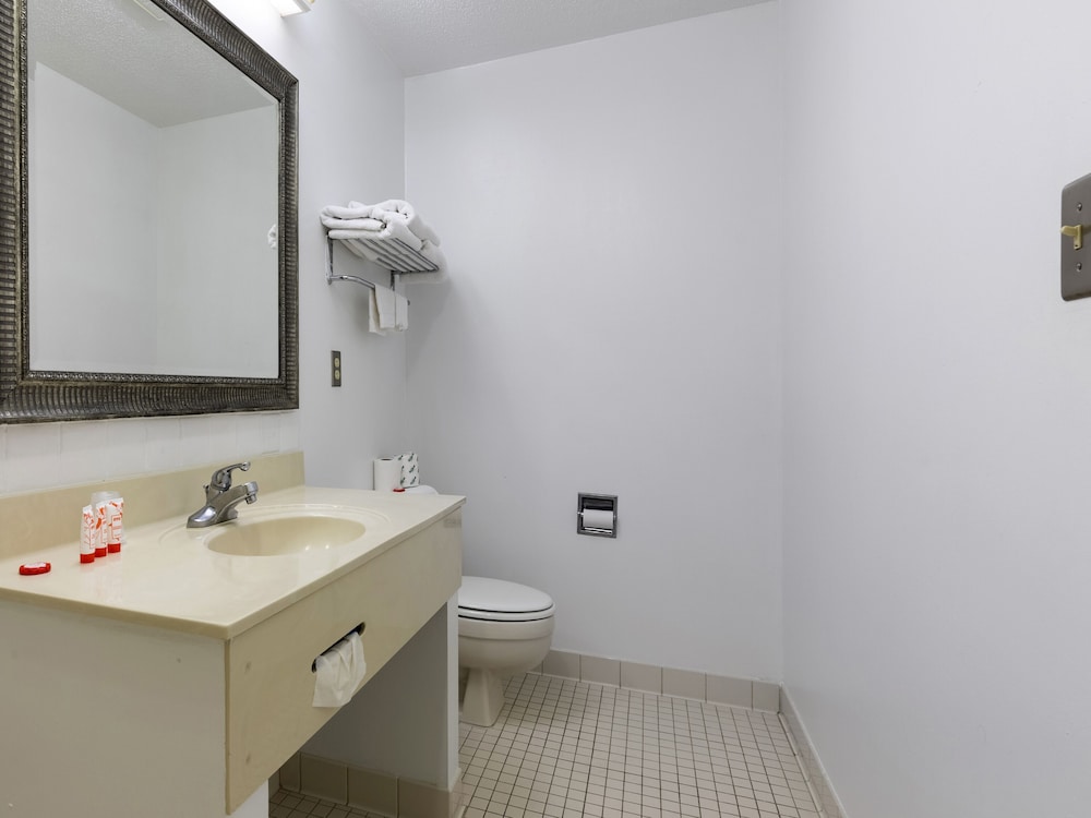 Mansion View Inn and Suite - photo 44
