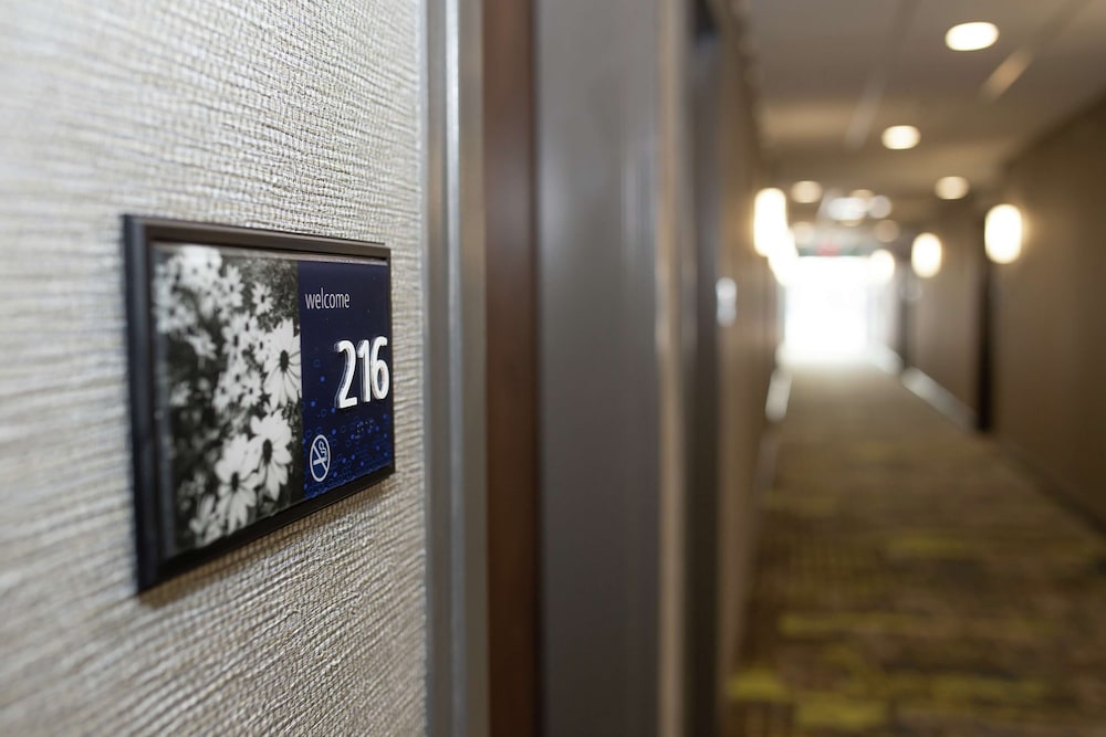 Hampton Inn & Suites Dundee - photo 56