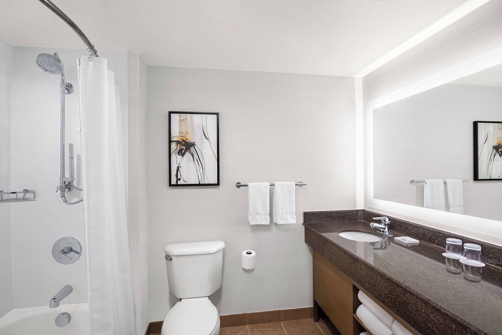 Delta Hotels by Marriott Anaheim Garden Grove - photo 10