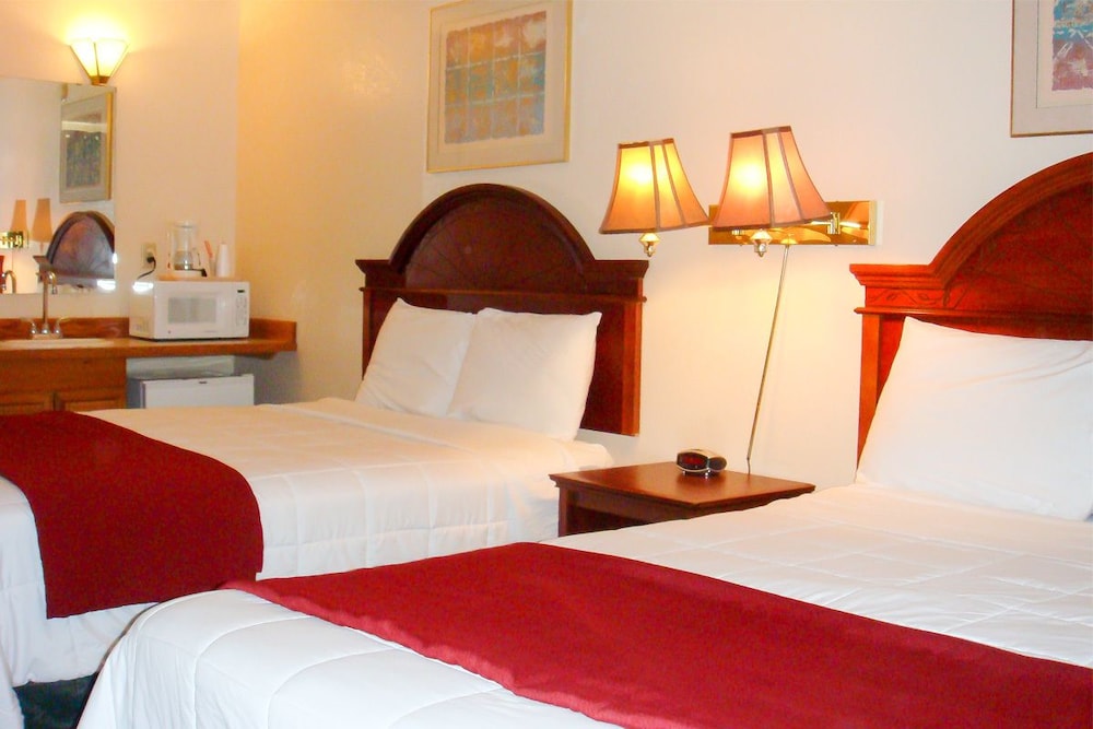 Village Inn & Suites - photo 6