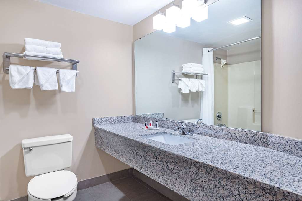 Ramada by Wyndham Hendersonville - photo 9