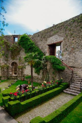 Real Scampis — Elbasan — photo 3