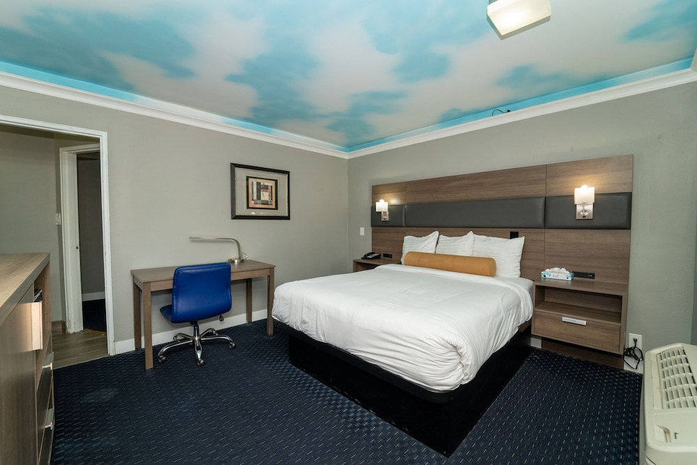 Hollywood Palms Inn and Suites - photo 46