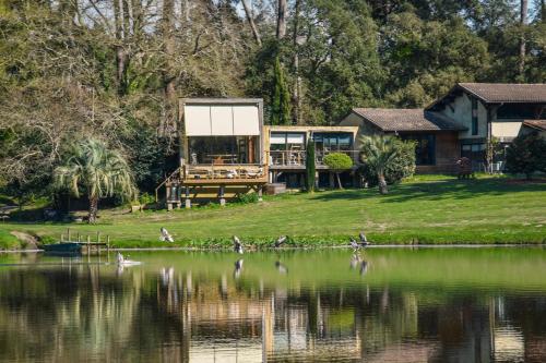 Les Nymphéas peaceful haven & private pond - carbon neutral hotel in Angresse