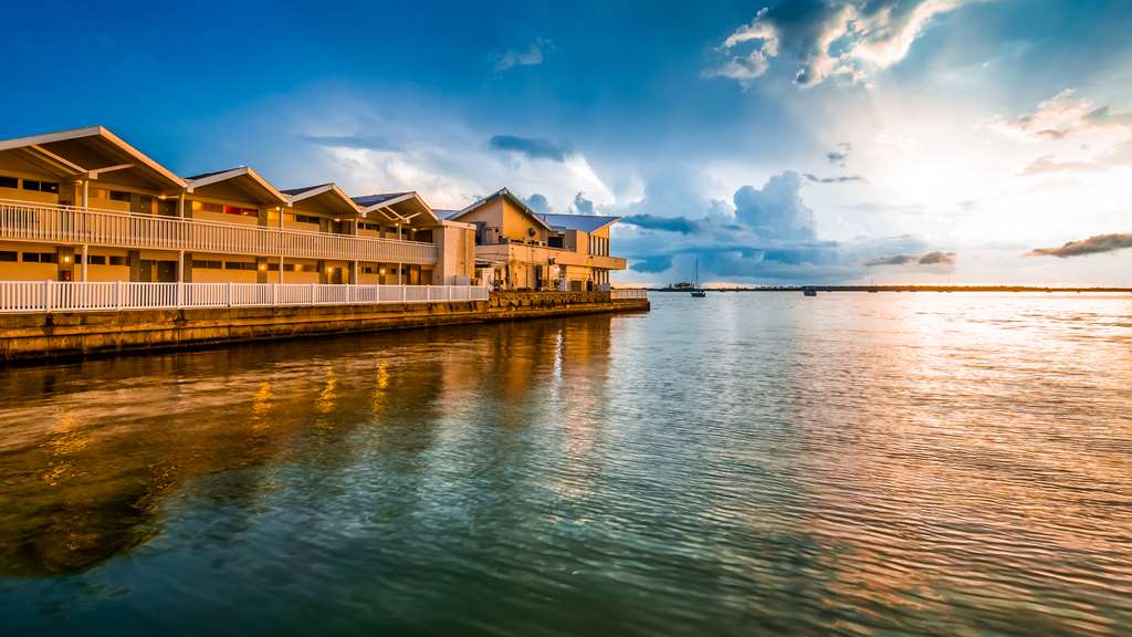 Best Western Plus Yacht Harbor Inn - photo 22