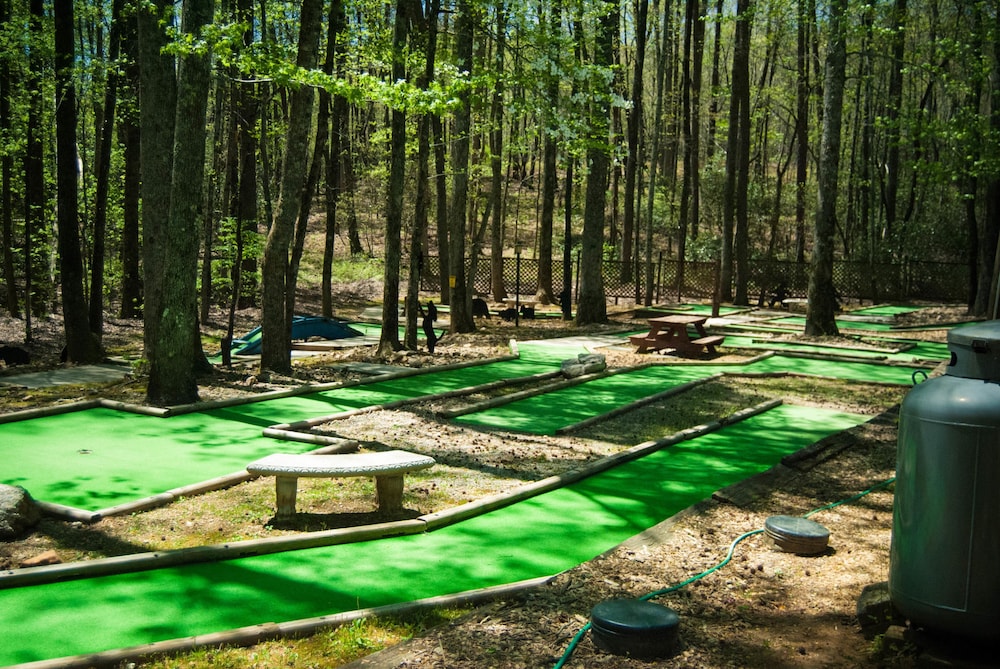 Country Hideaway at Mountain Lakes - photo 36