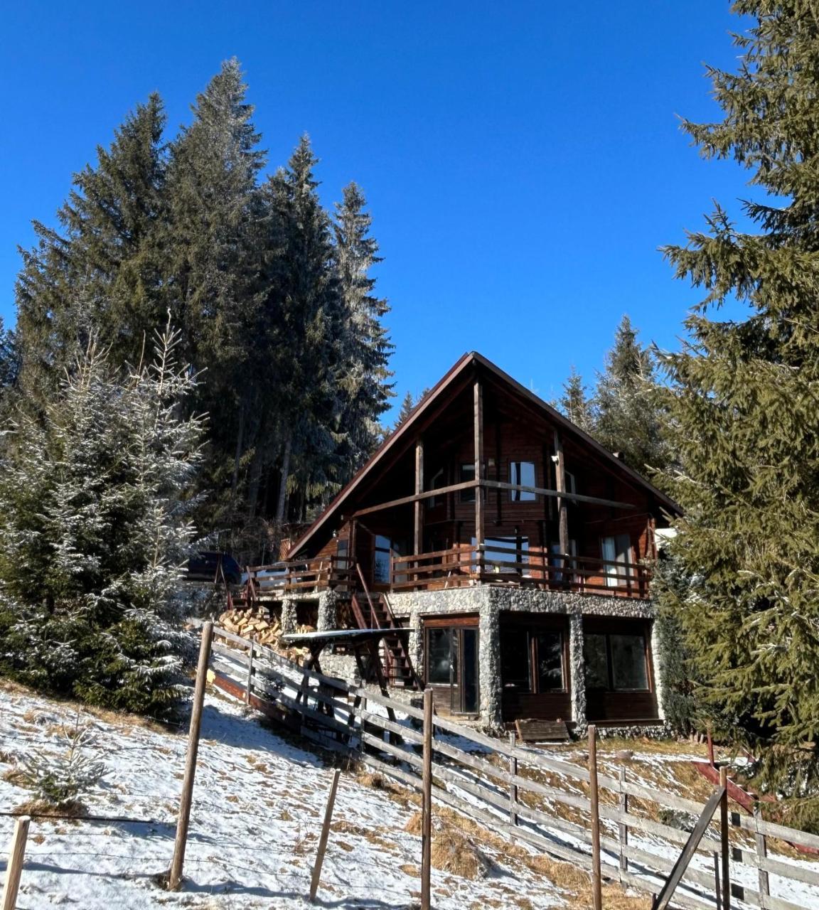 Casuta Lui Cookie - last minute hotel in Unknown City