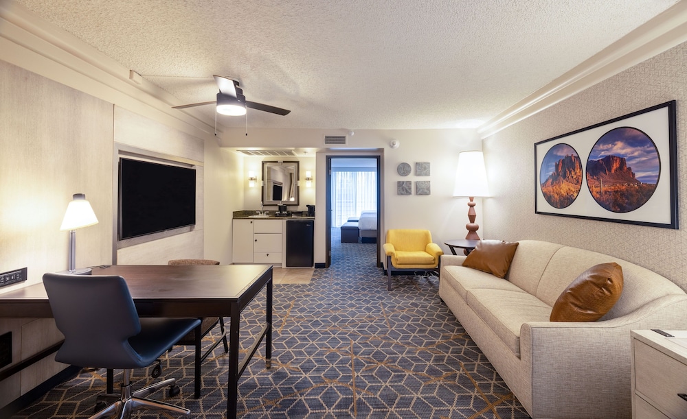 Embassy Suites by Hilton Phoenix Biltmore - photo 19