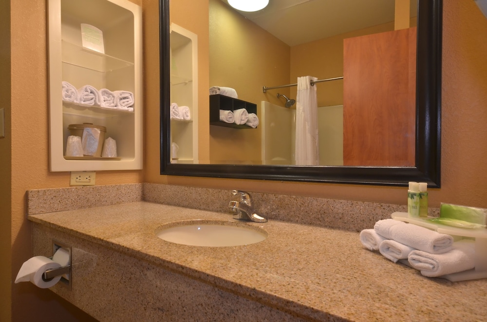 Holiday Inn Express Hotel & Suites Pine Bluff Pines Mall by IHG - photo 23