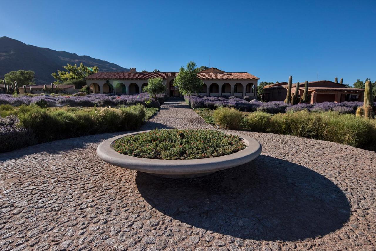 Estancia Colome — Molinos — photo 5