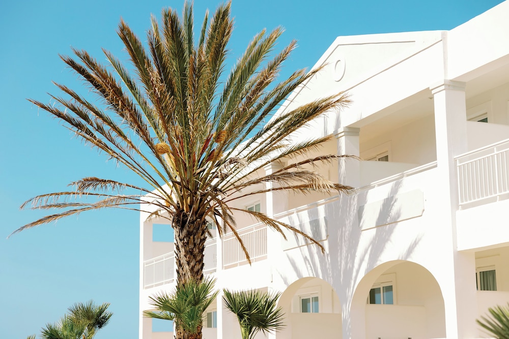 מראה חיצוני