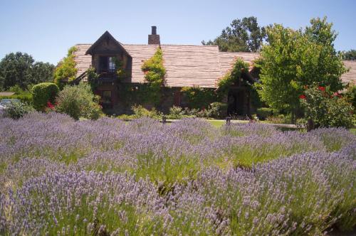 ONX Wines Briarwood Cottage & Apartment — 4-Star Luxury Hotel in Templeton, United States
