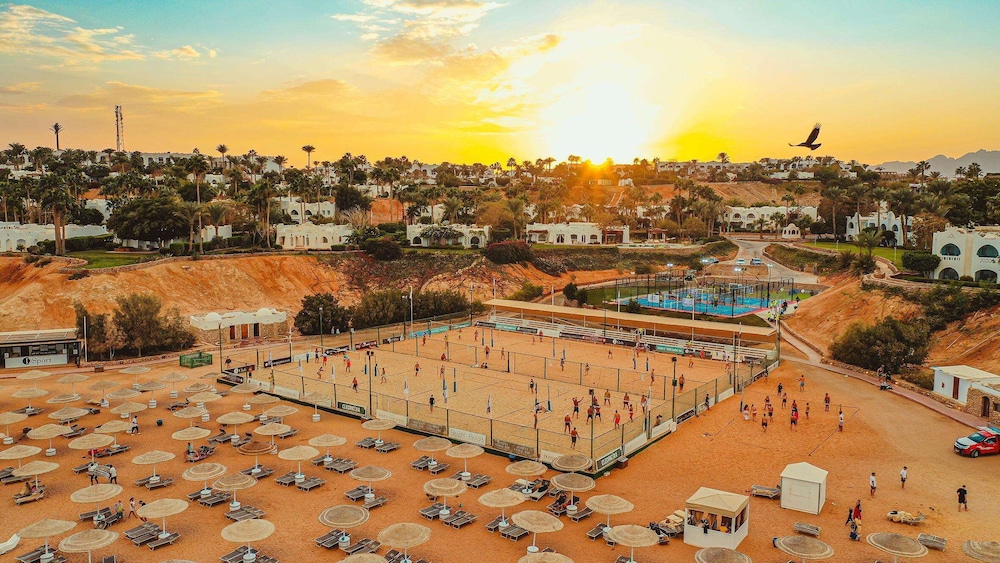 פעילויות וכושר