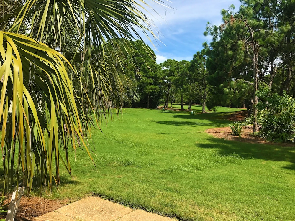 Sandestin Golf and Beach Resort - photo 98