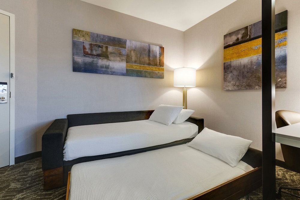 SpringHill Suites by Marriott Cheraw - photo 9