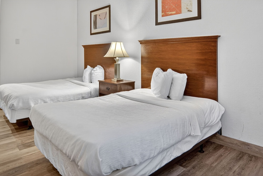 Robinson Inn and Suites - photo 8