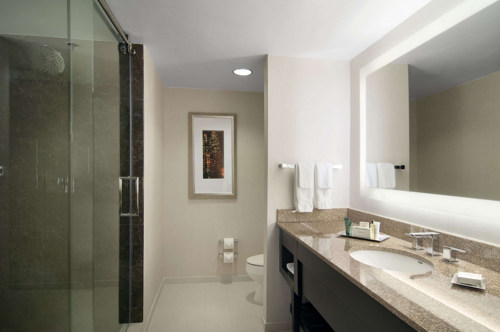 Hilton Atlanta Airport - photo 41