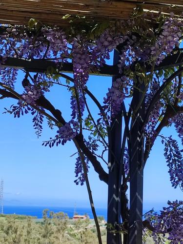 Casa del Poggio Barone Limone — 4-Star Luxury Hotel in Rodi, Italy