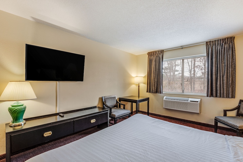 Econo Lodge Whitehall near Michigan's Adventure - photo 6