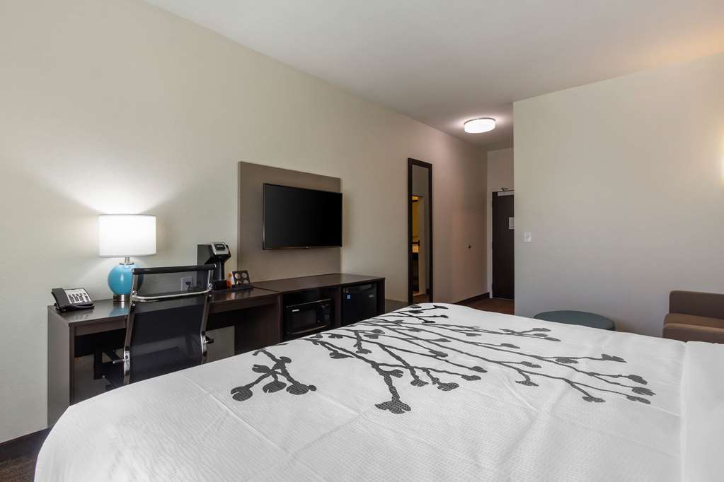 Sleep Inn & Suites Tampa South - photo 35