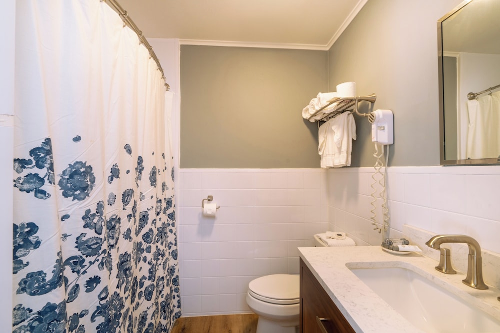 Iron Masters Inn on Main - photo 18