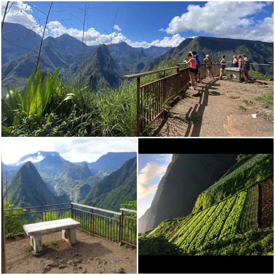 Au coeur des plantations in La Possession, Réunion