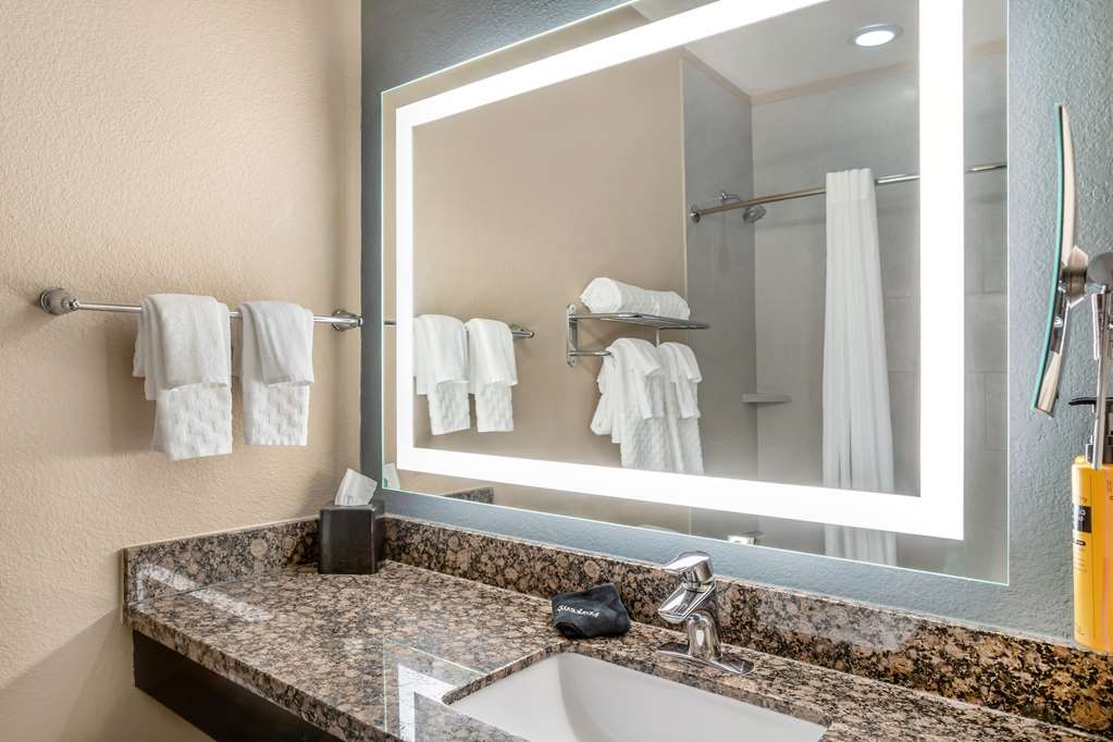 Best Western Plus Lake Jackson Inn & Suites - photo 12