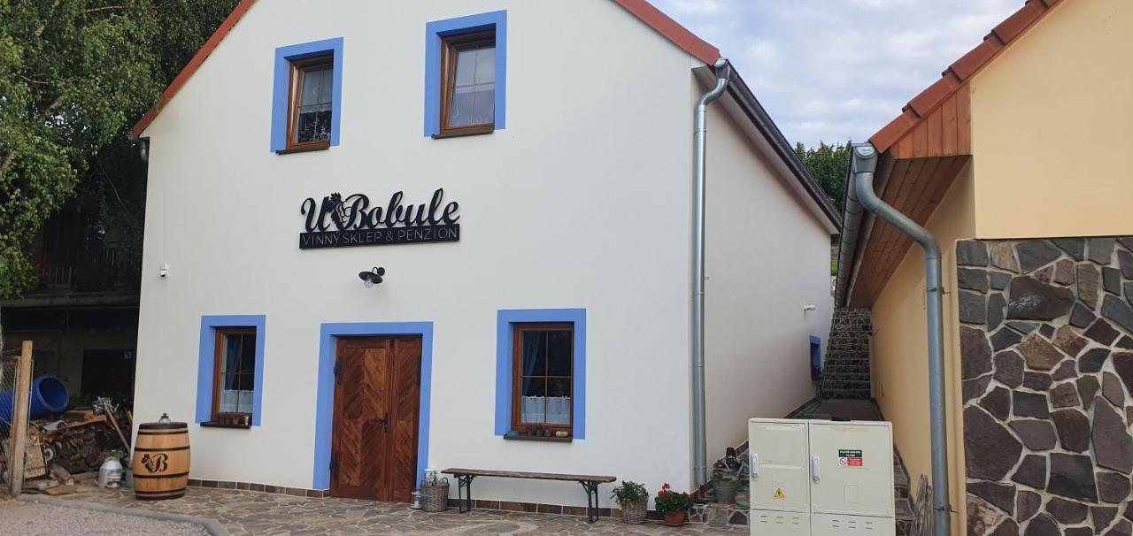 Vinný sklep a penzion U Bobule — hotel in Louka
