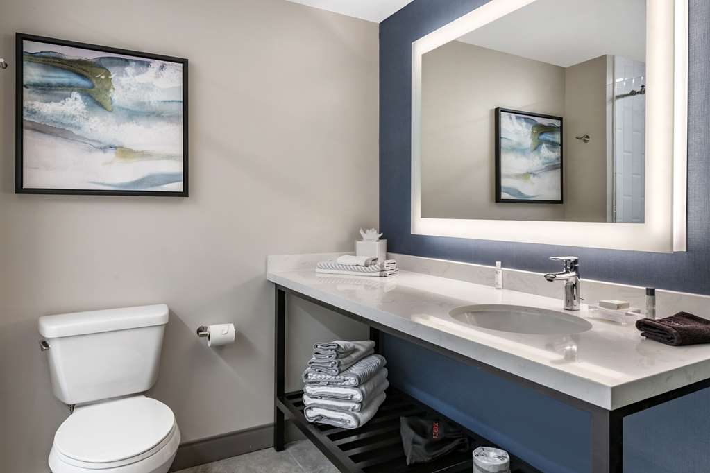 Cambria Hotel Orlando Airport - photo 18