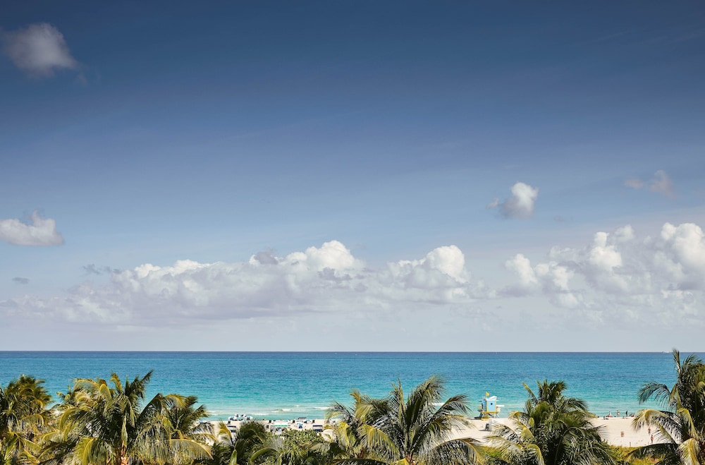 The Betsy Hotel South Beach - photo 46