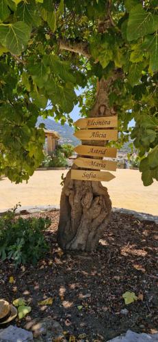 Casas Rurales Casa Larios — 4-Star Luxury Hotel in Cortes De La Frontera, Spain