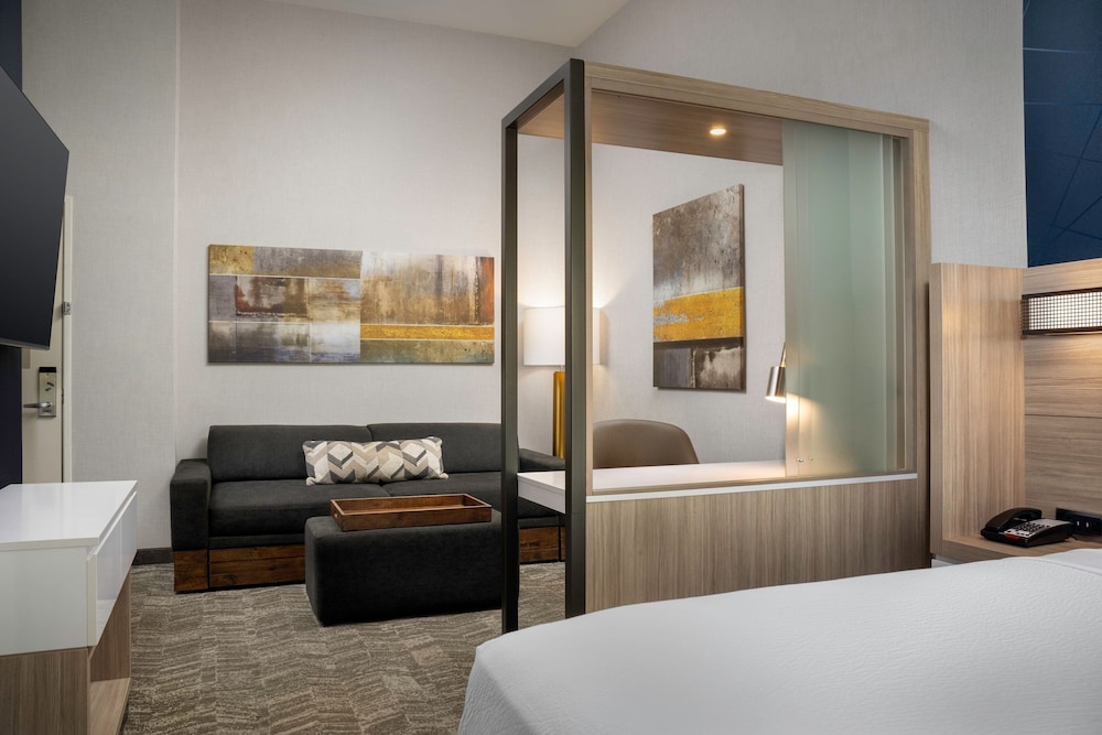 SpringHill Suites by Marriott Birmingham Gardendale - photo 15