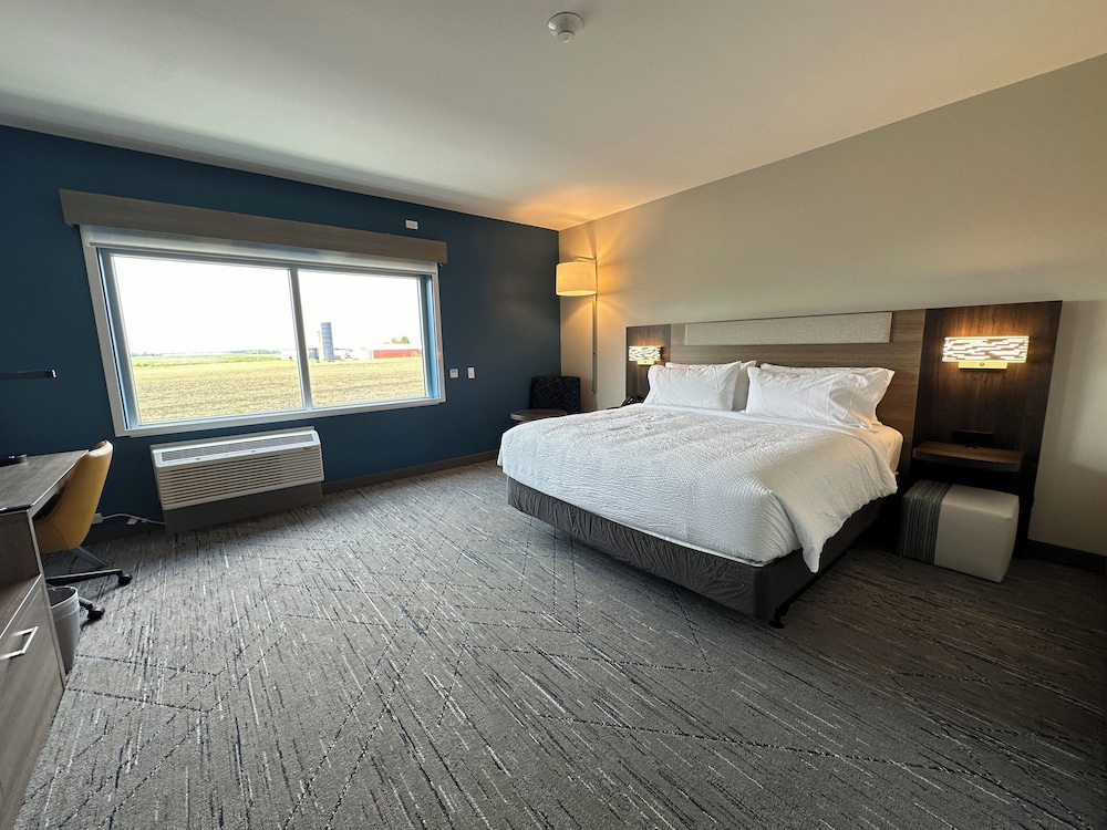 Holiday Inn Express Peotone by IHG - photo 5