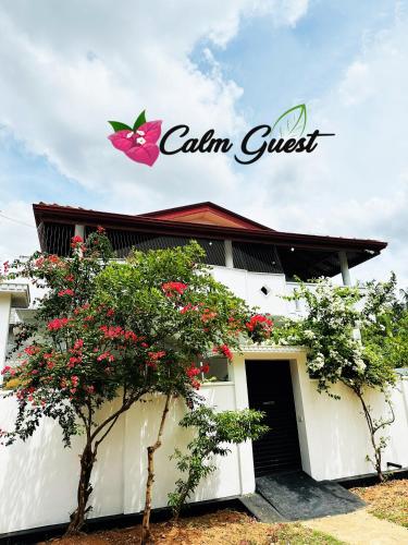 Calm Guest in Trincomalee, Sri Lanka
