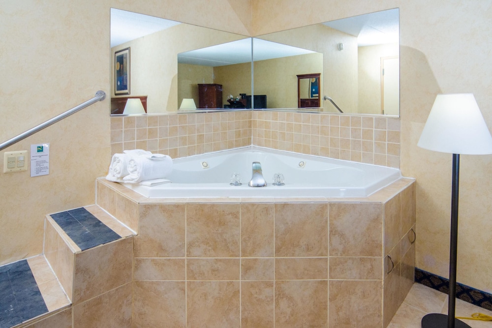 Quality Inn & Suites Coldwater near I 69 - photo 22