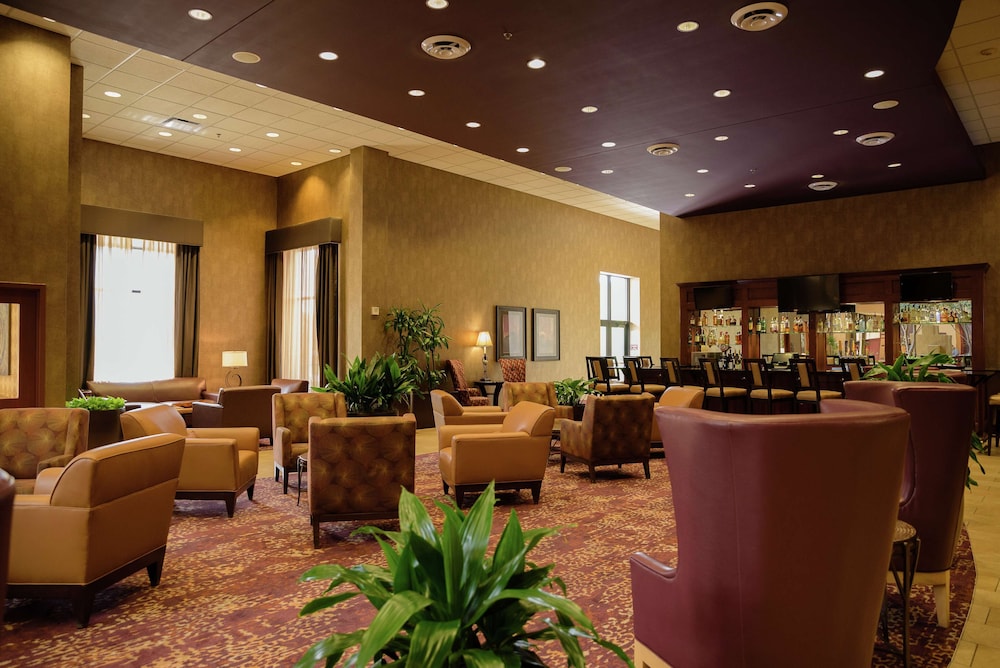 Embassy Suites by Hilton Minneapolis North - photo 3