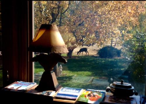 Sundance Suite Prairie Rose B&B - photo 22