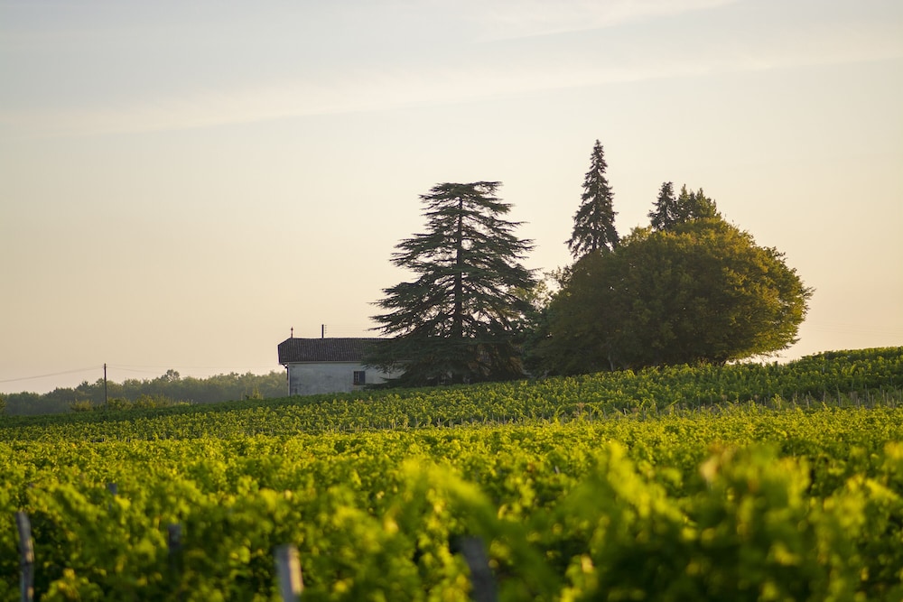 Vandenbeld Wines B&B — 4-Star Luxury Hotel in Paris, France