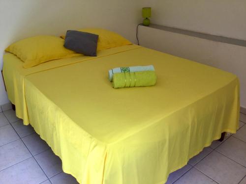 Chez Jocelyne Pres Des Sources Chaudes — Bouillante — photo 3